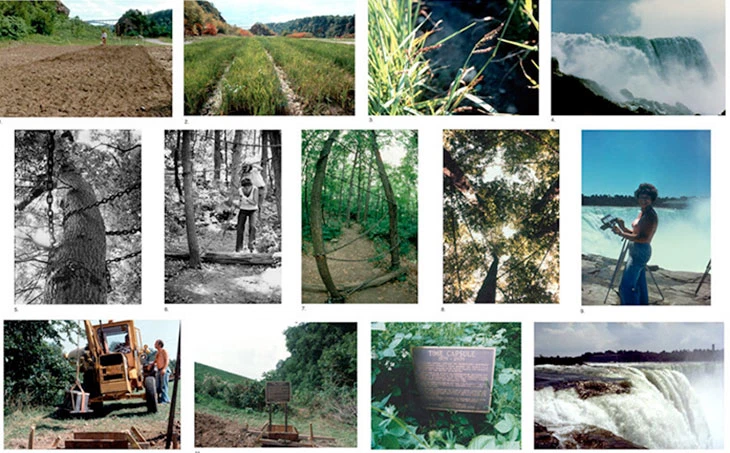 Agnes Denes’in 1968 tarihli “Rice/Tree/Burial” arazi sanatı eseri, pirinç tohumları ve çevresel yerleştirme çalışması