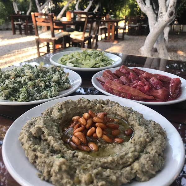 Bodrum Restoran Önerileri - Dila Sakarya