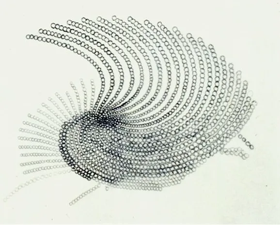 Agnes Denes’in “Bird Project” adlı çevresel sanat çalışması, doğa ve göç temalı kavramsal yerleştirme
