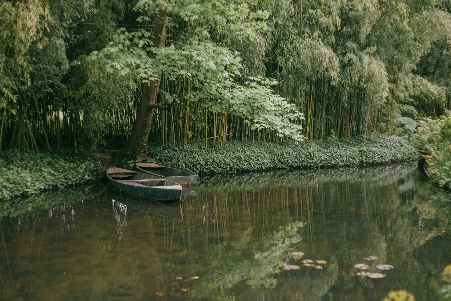 Giverny Fransa’da Claude Monet’nin bahçesinde nilüferlerle çevrili gölet manzarası
