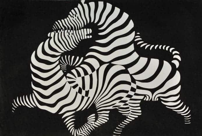 Victor Vasarely'nin 1937 tarihli Zebra adlı eserinde, birbirine geçmiş siyah ve beyaz çizgilerden oluşan iki zebra figürü, optik bir yanılsama yaratarak izleyiciye hareketli ve derinlikli bir görsel deneyim sunuyor.