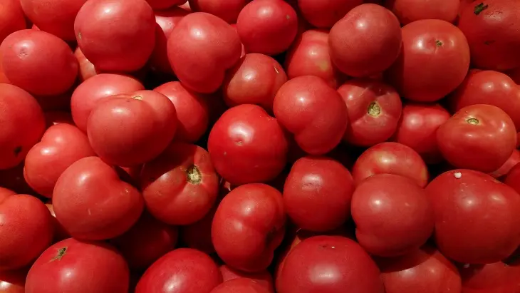 La Tomatina domates savaşında kırmızıya boyanan Buñol sokakları içi domatesler İspanya - Dünyadaki en ilginç festivaller