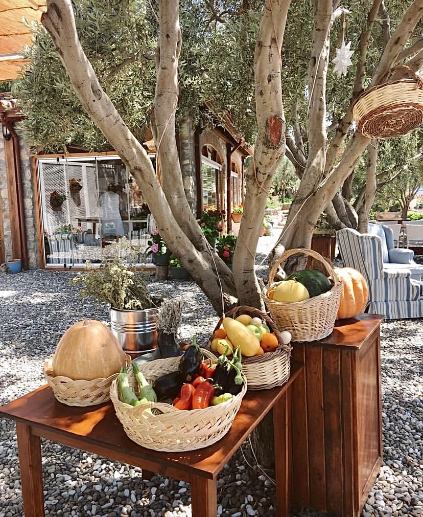 Tekneyle Gidebileceğiniz En Lezzetli 10 Restoran