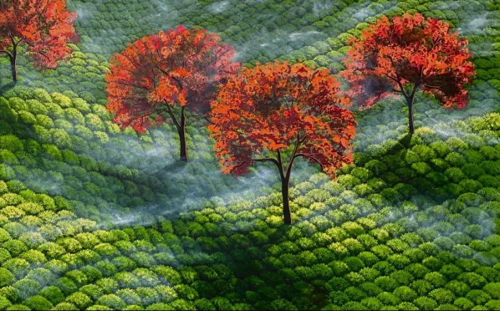 Bir Görüntü Avcısı Ressam: Halime Türkyılmaz