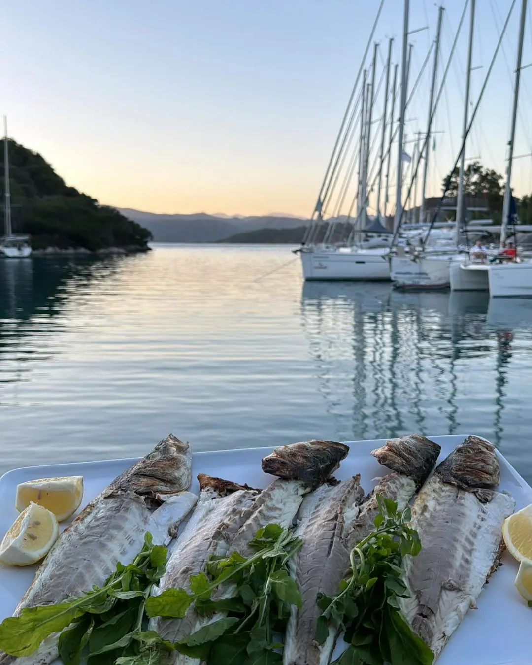 Tekneyle Gidebileceğiniz En Lezzetli 10 Restoran