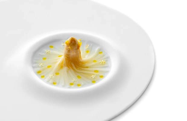 Dünyanın En İyi 50 Restoranı