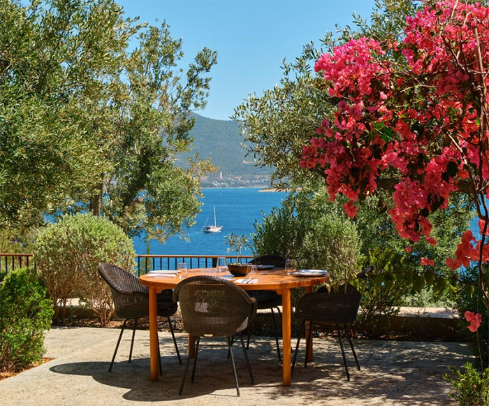 Bodrum'un en iyi restoranlarından Loft Elia'da, Demirbükü koyunun huzurlu manzarasında, yemyeşil zeytin ağaçları ve canlı pembe begonviller arasında konumlanan, beyaz tabak ve kadehlerin düzenli olduğu ahşap bir masanın etrafındaki koyu renkli sandalyeler, Ege'nin yerel tatlarını deneyimlemek isteyen misafirleri uzakta süzülen yelkenli tekne manzarası eşliğinde ağırlıyor.