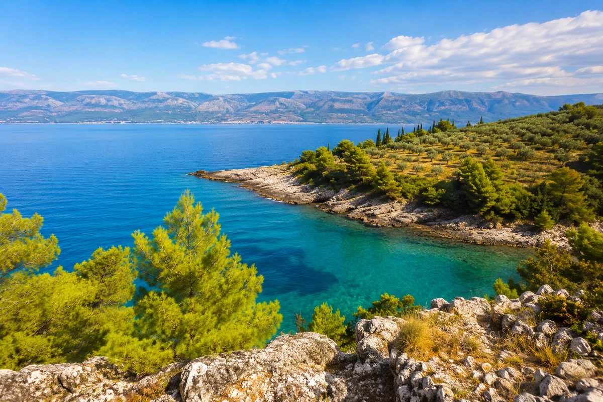 Brac Adası'nın güneşte parlayan berrak turkuaz sularıyla çevrili, yeşil çam ağaçları ve zeytinliklerle kaplı kayalık kıyı şeridi, uzakta yükselen dağ manzarasıyla muhteşem bir Akdeniz atmosferi sunuyor.
