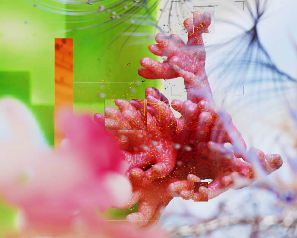 Yapay Zeka Sürdürülebilir Bir Geleceği Nasıl Mümkün Kılabilir?