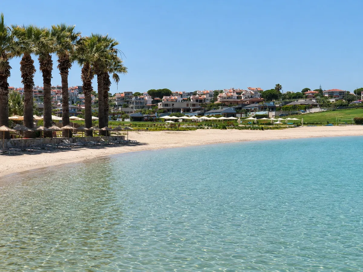 Çeşme Dalyan'daki Palmiye Plajı'nın berrak turkuaz suları, kıyı boyunca uzanan uzun palmiye ağaçları ve altında dizili hasır şemsiyelerle çevrili sakin kumlu kıyısı, arka planda tepedeki evlerle birlikte gün ışığında huzurlu bir manzarayı gözler önüne seriyor.