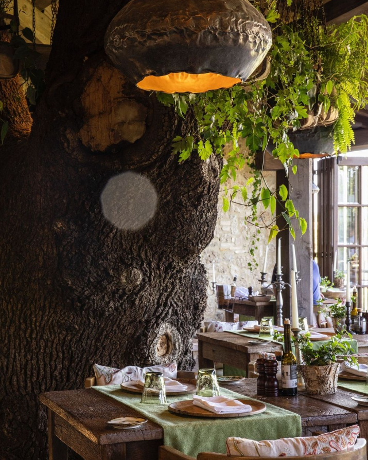Büyük bir ağaç gövdesinin iç mekânı kapladığı Trattoria Sull’Albero restoranında, koyu renkli asılı lambalardan sarkan yeşillikler ve doğal ahşap masalar, Toskana mutfağının yerel lezzetlerini doğa ile iç içe zarafetle sunan davetkar bir ambiyans yaratıyor.