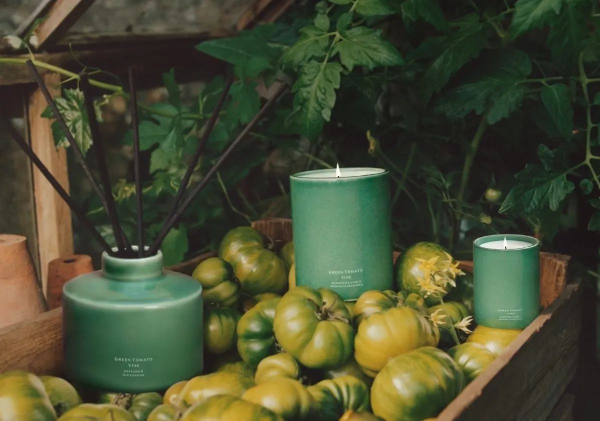 Jo Malone London'ın Green Tomato Vine (Yeşil Domates Asması) koleksiyonundan, yeşil seramik şişeli çubuklu bir difüzör ve iki adet yanan mum, ahşap bir kasada bol miktarda olgunlaşmamış, çizgili yeşil domatesin arasında ve yemyeşil domates yapraklarıyla dolu bir seranın doğal ortamında sergileniyor.