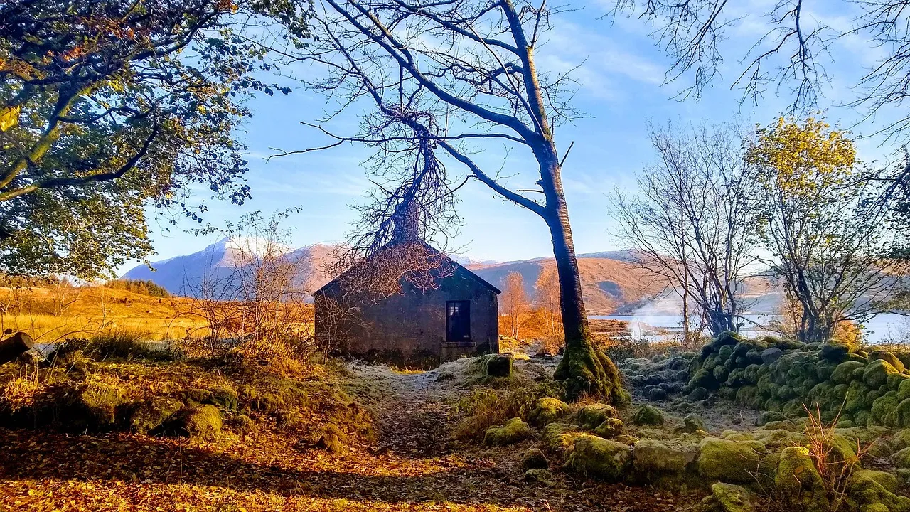 İskoçya Highlands bölgesinde ormanlık alanda yer alan geleneksel taş bothy kulübesi ve sonbahar manzarası