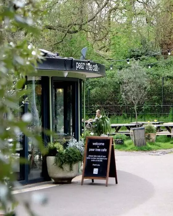 İç kısmı camlarla çevrili, dış tabelasında Pear Tree Cafe yazan modern bir kafe binası, yemyeşil ağaçların ve piknik masalarının bulunduğu doğal bir park ortamında yer alıyor ve önünde welcome to pear tree cafe yazılı bir karşılama panosu bulunuyor.