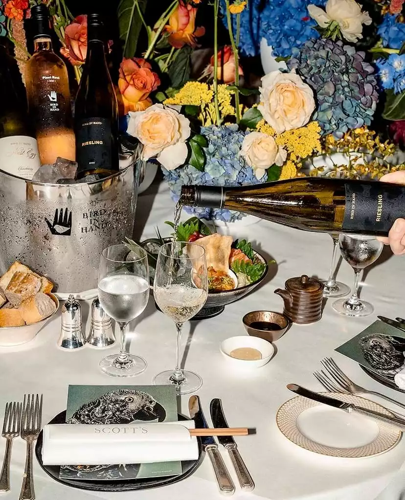 Lüks bir restoranda, canlı mavi ortancalar ve çeşitli güllerle süslenmiş gösterişli bir çiçek aranjmanının önünde, bir elin zarifçe bir Riesling şarabını kadehe doldurduğu, Scott's logolu masa kartlarının bulunduğu şık masa düzeni.