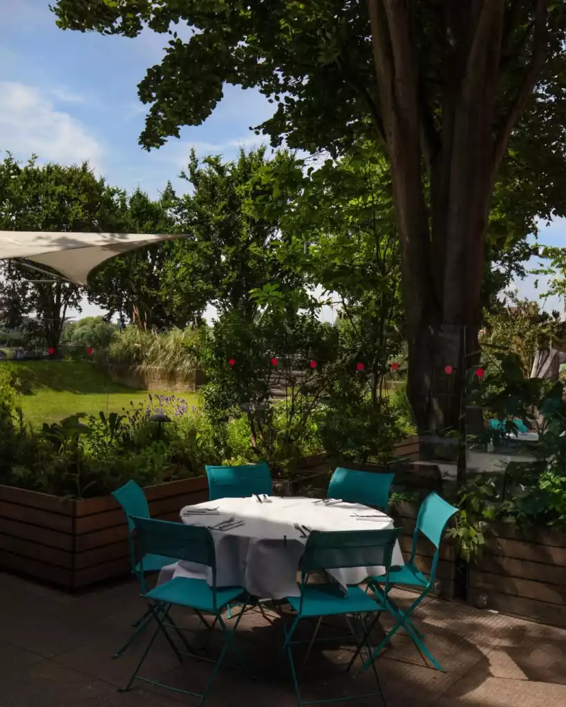 The River Cafe'nin yemyeşil bitkilerle çevrili, büyük bir ağacın gölgesindeki açık hava yemek alanı; beyaz örtülü, çatal bıçak takımları yerleştirilmiş yuvarlak bir masa ve turkuaz sandalyelerle davetkar bir görünüm sunuyor, uzakta ise çimenlik ve bir tente seçiliyor.