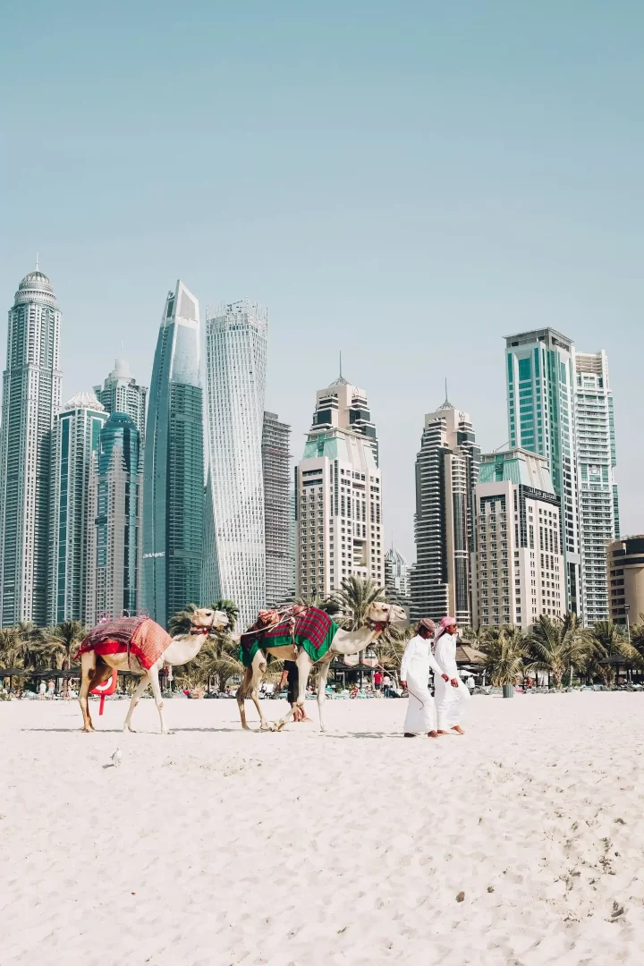 Dubai sahilinde, rengarenk örtülerle süslenmiş iki deve ve geleneksel kıyafetler giyen iki adam, parlak güneşin altında bembeyaz kumların üzerinde yürürken, arka planda modern mimariye sahip birçok yüksek gökdelen yükseliyor ve bu eşsiz kontrastı gözler önüne seriyor.