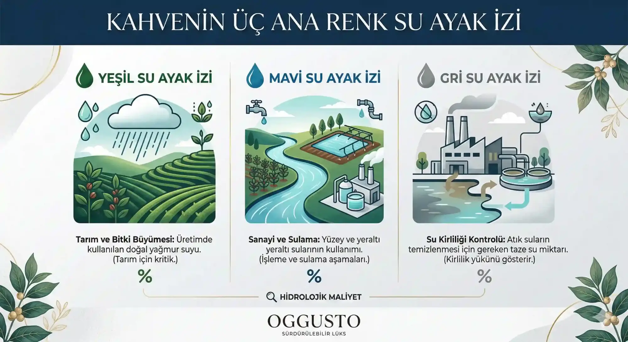 Kahvenin üç ana renk su ayak izi infografiği: yeşil su ayak izi (yağmur suyu ve tarım), mavi su ayak izi (yüzey ve yeraltı suyu kullanımı) ve gri su ayak izi (atık su ve kirlilik kontrolü) görsellerle anlatılan OGGUSTO tasarımı.
