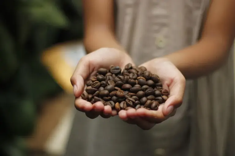 Espresso mu, Latte mi? Seçtiğiniz Kahve Doğayı Nasıl Değiştiriyor?