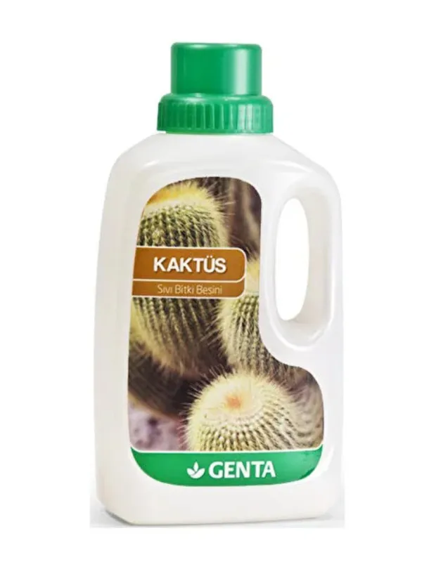 Kaktüs ve Sukulent Bakımı Nasıl Yapılır?
