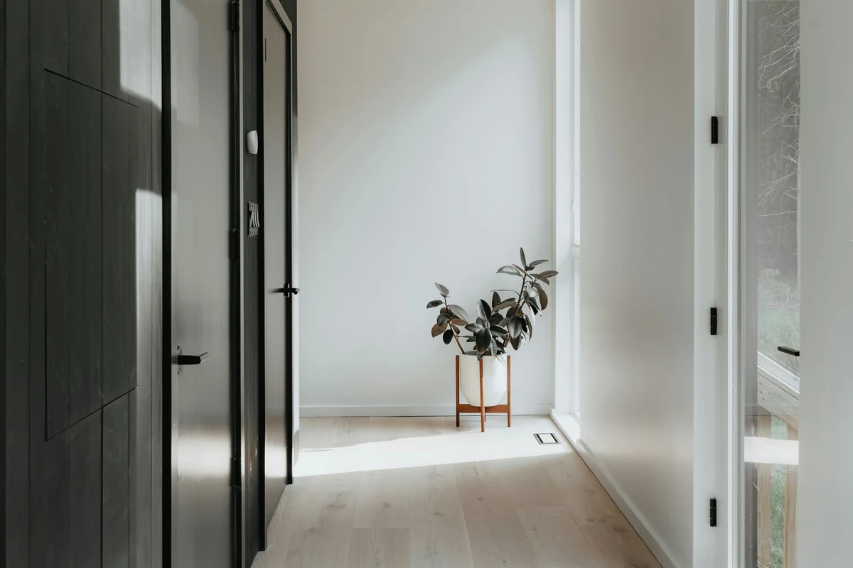 Aydınlık, minimalist bir antrede, açık renk ahşap zemin ve beyaz duvarlar arasında, sağda ahşap stand üzerinde beyaz saksıda duran büyük yapraklı salon bitkisi, ortama doğal ve huzurlu bir hava katarken, sol tarafta koyu renkli modern kapılar mekanı tamamlıyor.