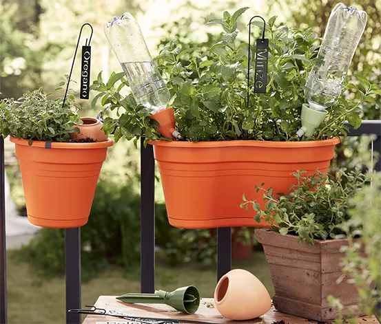 Teras veya balkon gibi dış mekânlarda kullanılan, pet şişe ile çalışan pratik otomatik sulama sistemi. Baharat ve aromatik bitkilerle birlikte kullanıma uygundur.