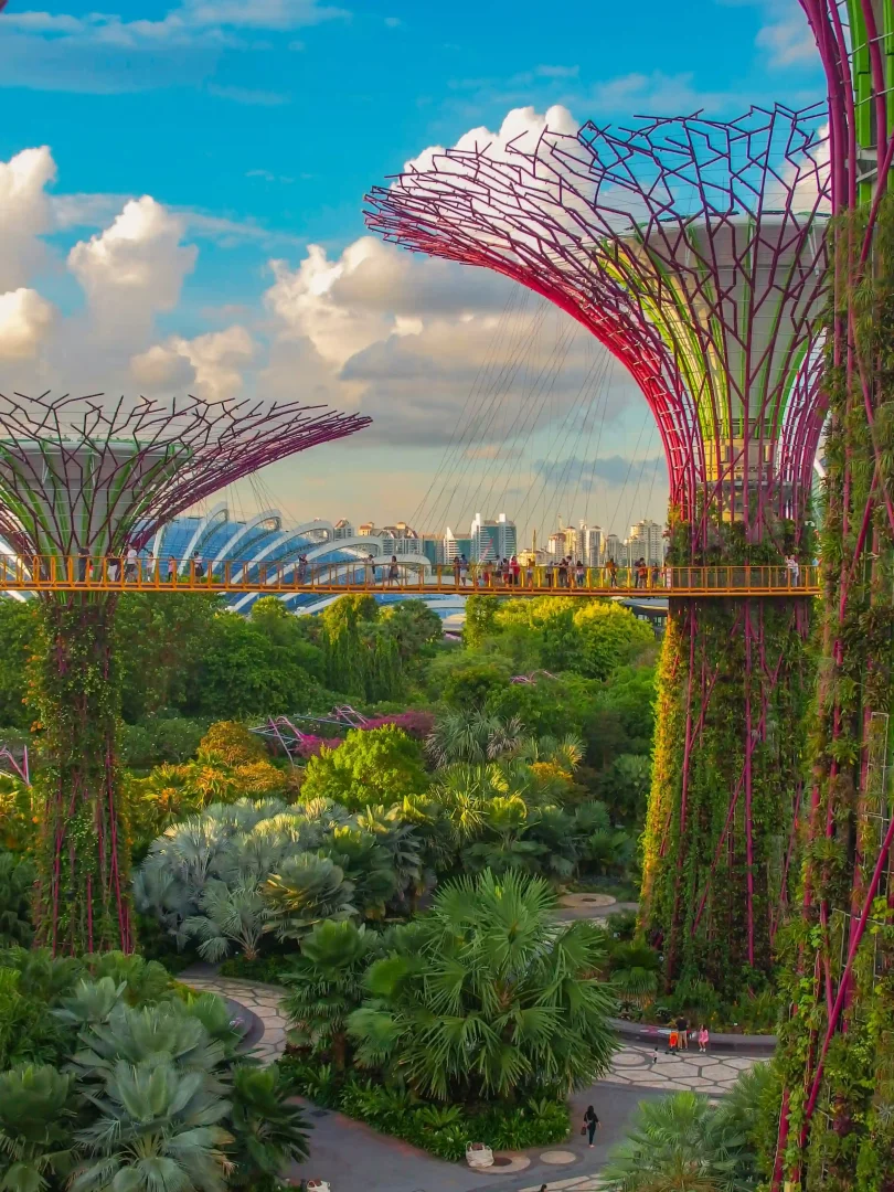 Singapur'daki yemyeşil Gardens by the Bay'de, bitki örtüsüyle kaplı fütüristik Süper Ağaçları birbirine bağlayan, üzerinde insanların gezindiği yüksek bir köprü ve arka planda modern şehir silüetiyle gökyüzünün iç içe geçtiği etkileyici bir park manzarası.