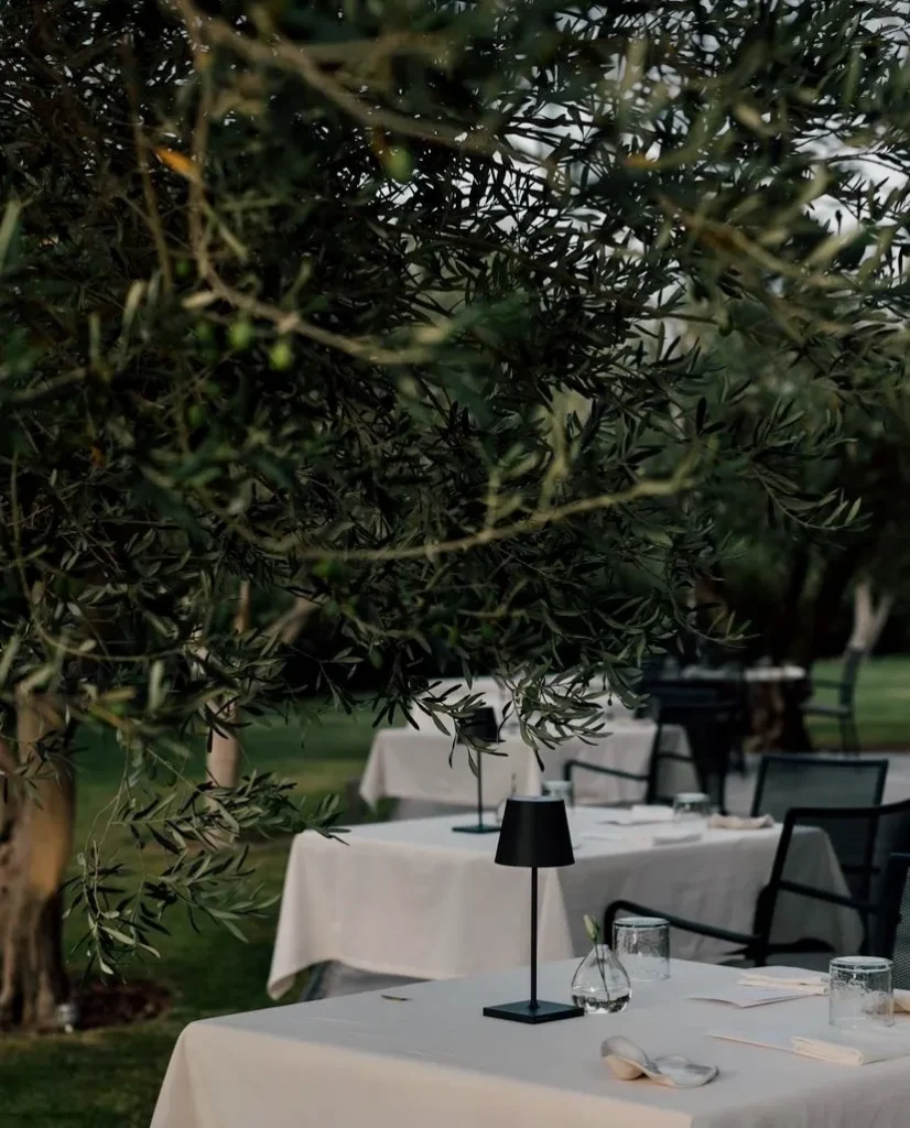 İzmir'in Michelin Yıldızlı Restoranları
