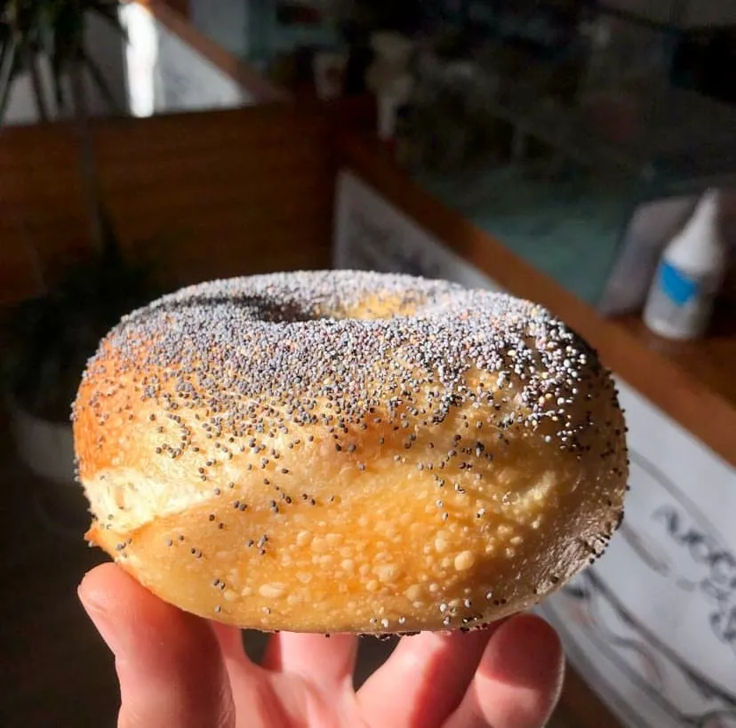 Bir elin özenle tuttuğu, üstü bolca haşhaş tohumu serpilmiş, altın sarısı renginde, kabarık ve dışı hafif çıtır görünen taze bir bagel, güneş ışığında parlayarak lezzetli bir New York bagel deneyimi vaat ediyor.