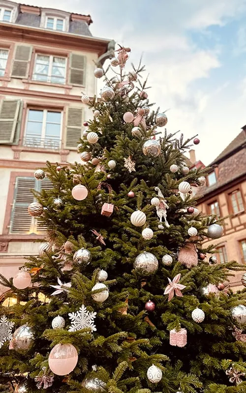 Colmar’da Alsace Noel Pazarları atmosferini yansıtan pembe ve gümüş süslerle dekore edilmiş büyük yılbaşı ağacı.