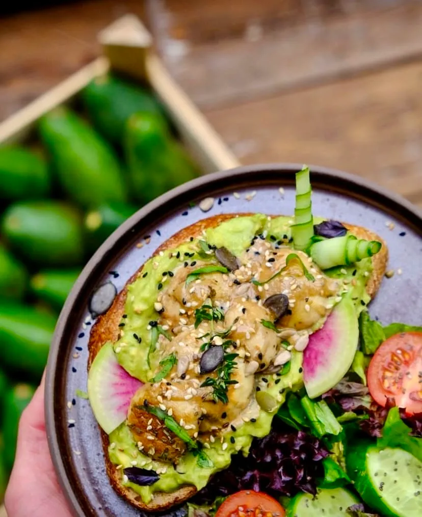 Avokado Bar Nişantaşı’nda avokado ezmesi üzerine nohut köftesi, taze salata ve sebzelerle sunulan sağlıklı tabak