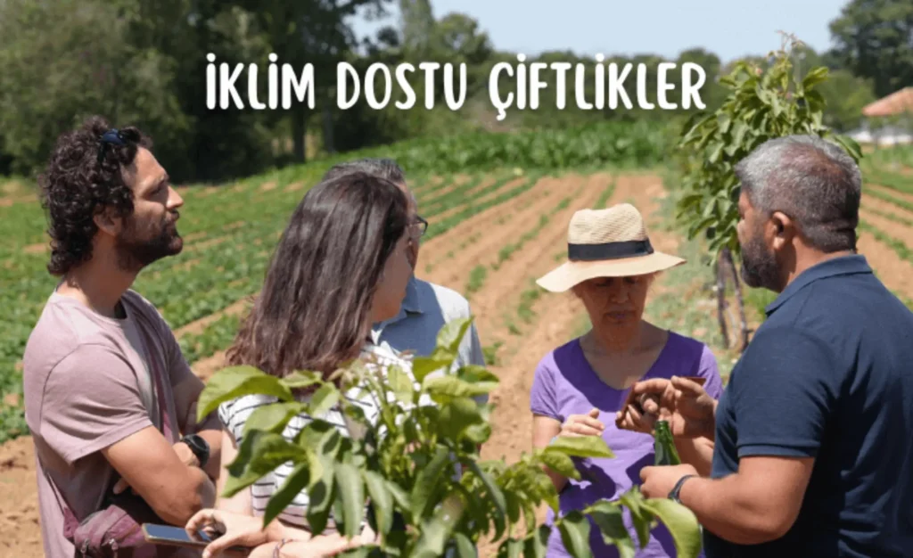 Buğday Derneği’nin iklim dostu çiftlik projesinde üreticilerle yapılan ekolojik tarım eğitimi – sürdürülebilir yaşam ve bağış odaklı bir yılbaşı hediye önerisi