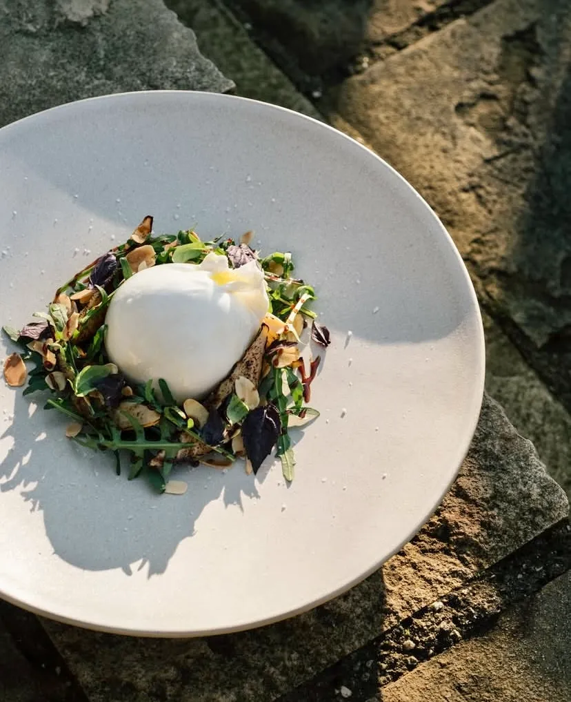 Casa Lavanda Şile restoranında şef Emre Şen’in hazırladığı burrata ve yeşilliklerle sunulan Akdeniz esintili tabak