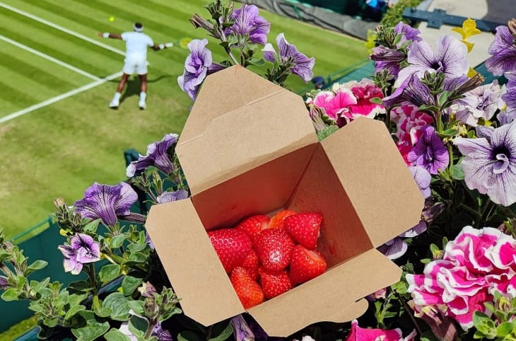 Grand Slam Efsanesi: Tenisi Tenis Yapan 4 Turnuva