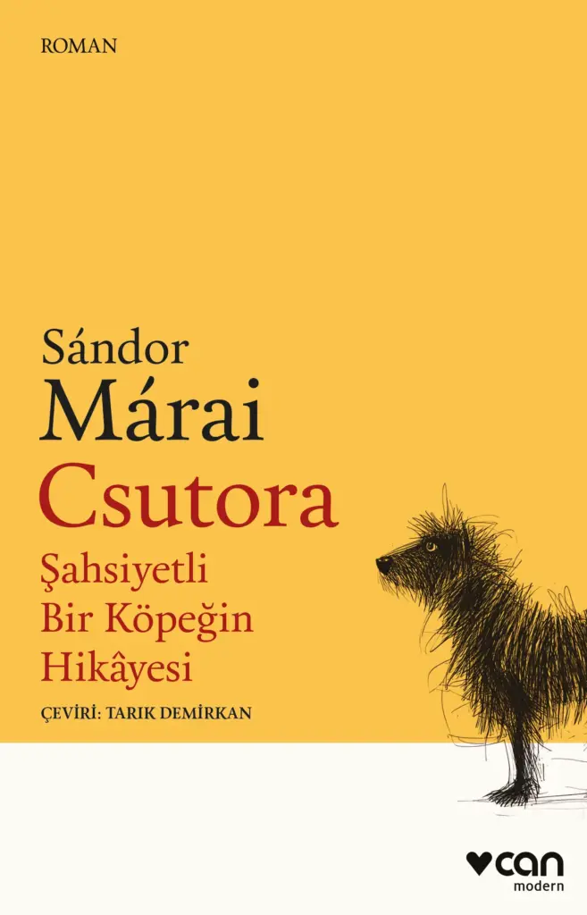 Köpekler Davranışları ile Ne Mesaj Veriyor?