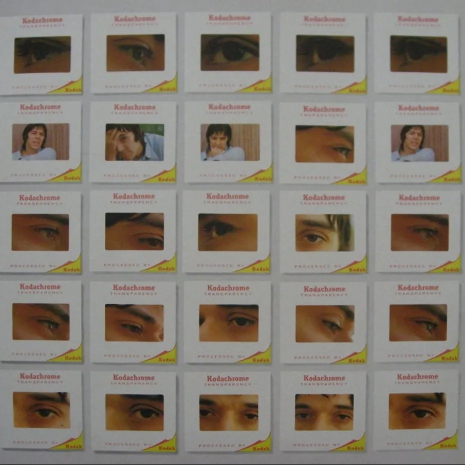 The Academy in Peril albüm kapağında John Cale’in fotoğraf ve göz detaylarından oluşan ızgara.