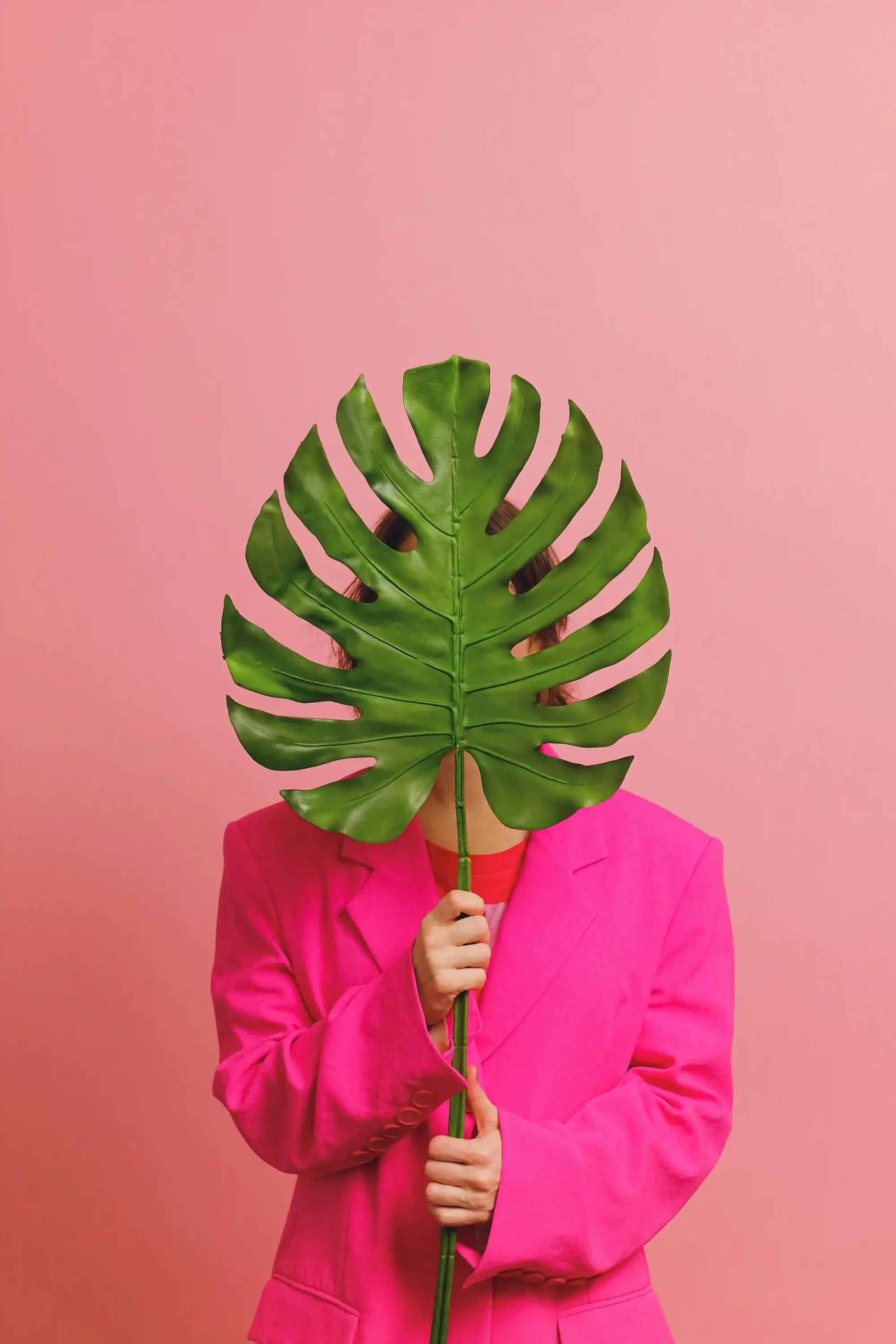 Pembe arka plan önünde, yüzünü deve tabanı (Monstera) yaprağıyla kapatan kişi