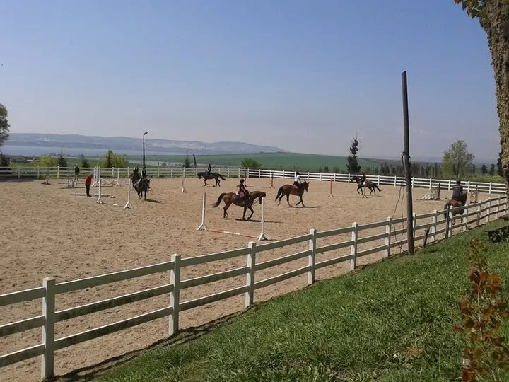 Geniş, beyaz çitlerle çevrili kum zeminli bir manejde, parlak bir günde atlıların ve atların binicilik antrenmanı yaptığı görülüyor; arka planda uzanan yeşil tepeler ve parıldayan bir göl, huzurlu bir binicilik ortamını vurguluyor.