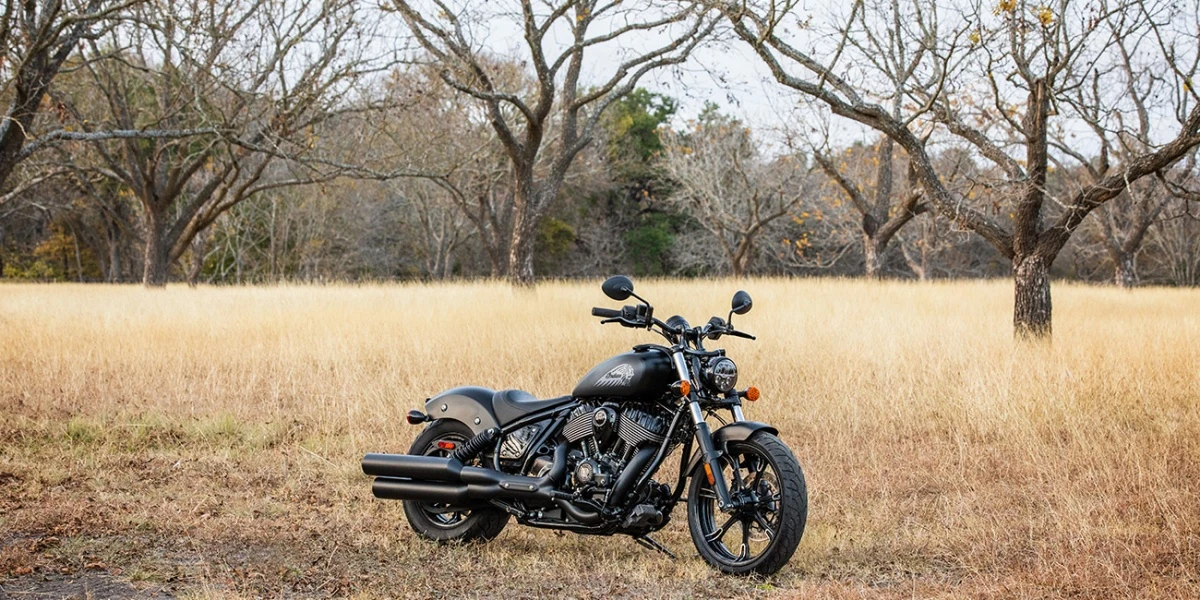 Kuru, sarı-kahverengi otlarla kaplı geniş bir arazide, arka planda çıplak dallı ağaçların sıralandığı doğal bir ortamda sol tarafa doğru duran mat siyah Indian Chief Dark Horse gezi motosikleti, maceraya hazır bir duruş sergiliyor.