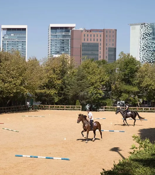 Güneşli bir günde, İstanbul Atlı Spor Kulübü'nün geniş kum manejinde, yeşil ağaçlarla çevrili alanda biniciler atlı spor pratikleri yaparken, arka planda modern şehir binaları yükseliyor.