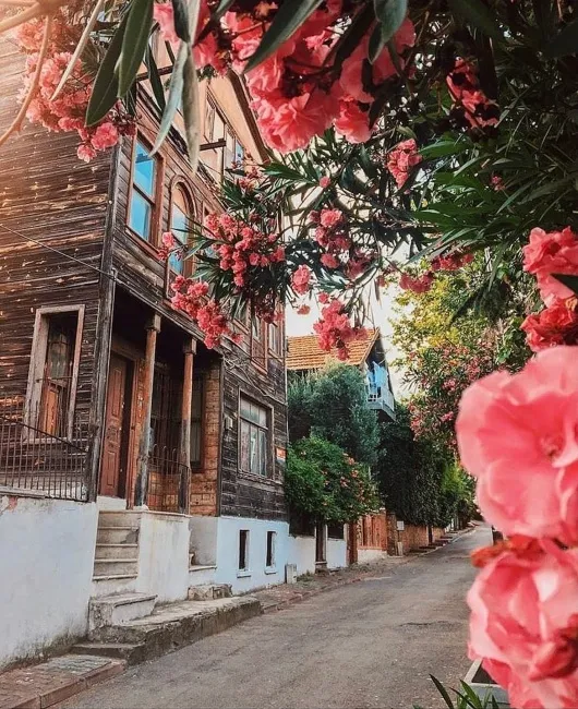 Kınalıada’da begonvillerle süslü sokak ve tarihi ahşap ada evi