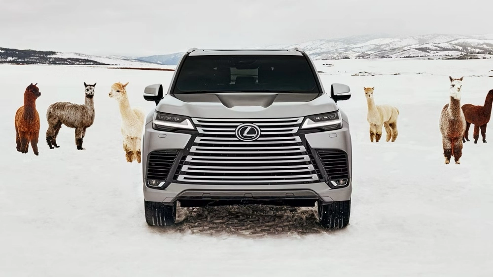 Karlarla kaplı dağlık bir arazide, gümüş rengi Lexus LX 7 kişilik lüks SUV'un ön tasarımı, aracın etrafında çeşitli pozlarda duran altı farklı renk alpaka ile birlikte çarpıcı bir dış görünüm sunuyor.
