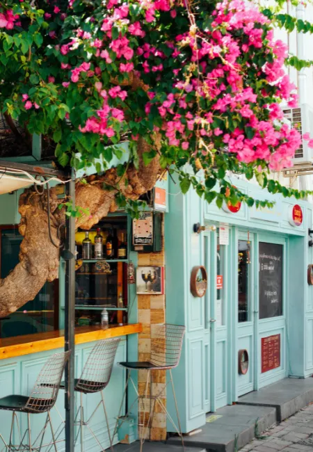 Pembe begonvil çiçekleriyle bezeli, kalın gövdeli bir ağacın altındaki pastel mavi renkli şirin bir kafe, baharın coşkusunu yansıtırken, erguvan ağacının büyüleyici çiçeklenme dönemi hakkında bilgi veren yazımız için ilham verici bir görsel sunuyor.