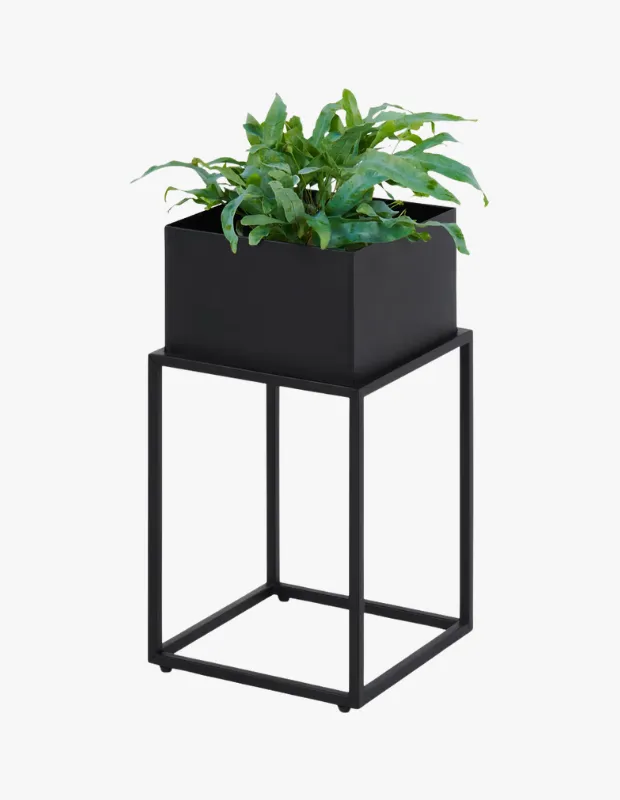 Siyah metal ayaklı kutu saksı standı içinde yeşil iç mekân bitkisi minimalist ev dekorasyonu