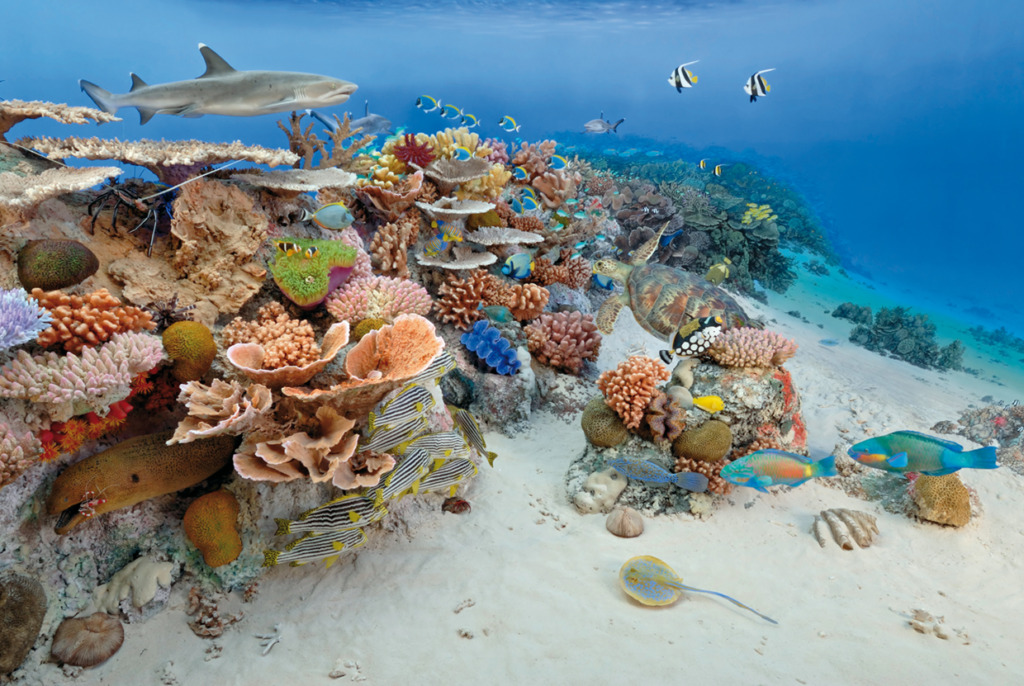 Museo Storia Naturale di Milano deniz müzesi