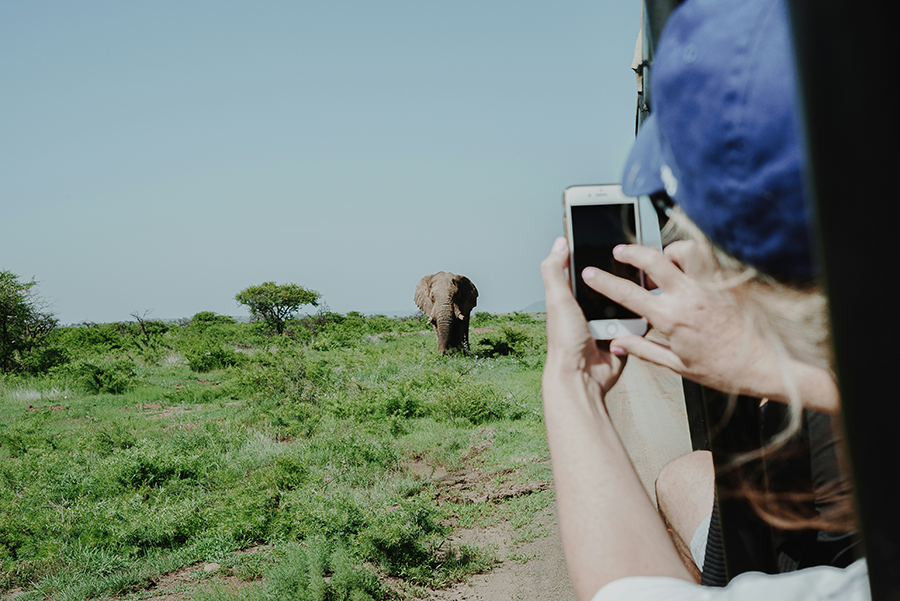 Safariye Çıkmadan Önce Bilmeniz Gerekenler