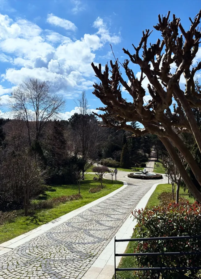 Atatürk Arboretumu'ndaki huzurlu rotalardan biri olan bu desenli taşlarla döşeli yol, mavi gökyüzü altında, ilkbaharın başlarında çıplak dallarıyla yükselen ağaçların arasından süzülerek uzaklardaki fıskiyeye doğru nazikçe kıvrılıyor.
