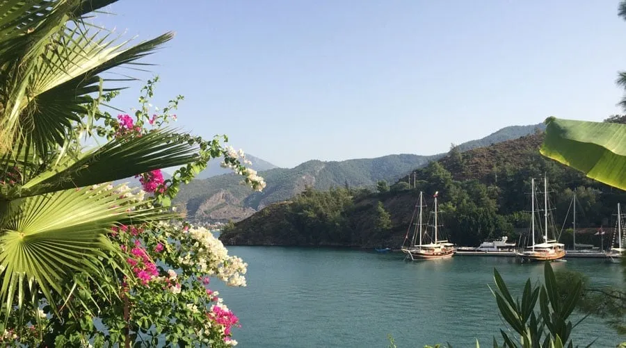 Sol önde palmiye yaprakları ve rengarenk pembe ve beyaz begonvillerle süslenmiş, Bozburun koyunun sakin sularında demirli geleneksel ahşap guletler ve modern yatlarla dolu, yemyeşil tepelerle çevrili huzurlu bir manzara.