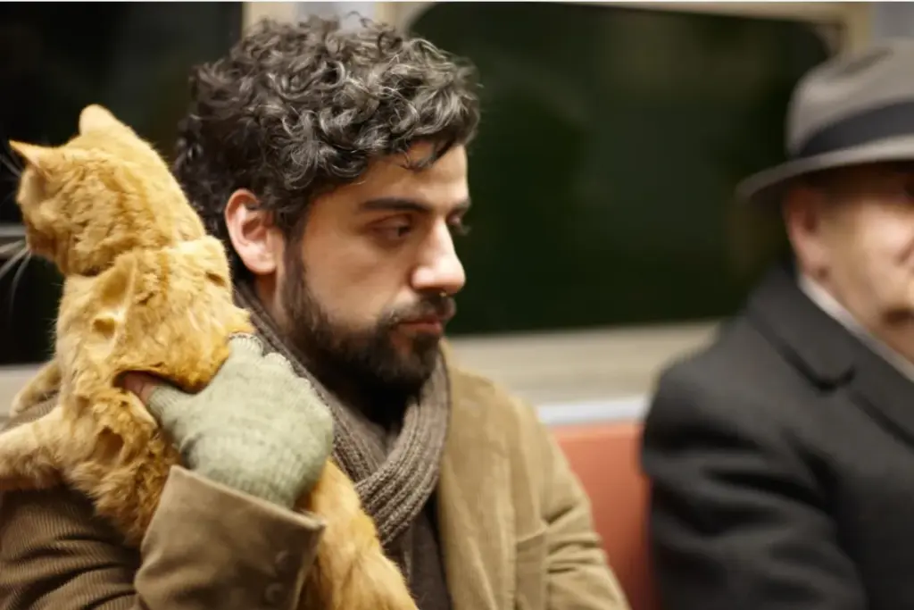 Bu etkileyici kedi filmleri seçkisinden bir görselde, Kedi Severlerin İzlemesi Gereken Filmler listesinde öne çıkan Sen Şarkılarını Söyle yapımından, Oscar Isaac'in canlandırdığı Llewyn Davis kucağındaki turuncu kediyle toplu taşıma aracında düşünceli bir ifadeyle otururken görülüyor, yanında şapkalı yaşlı bir yolcu yer alıyor.