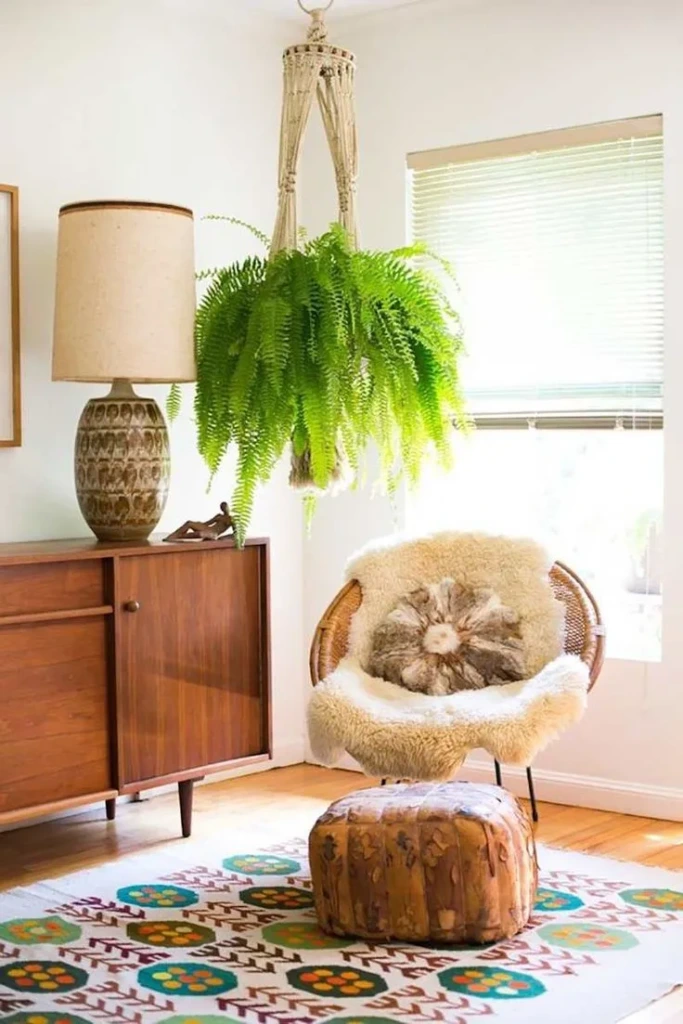 Modern bir salonda makrome askılı saksıda yetişen canlı aşkmerdiveni (Boston Fern) bitkisi